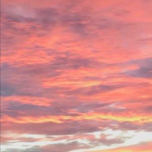 Meet your Posher, Jeffrey